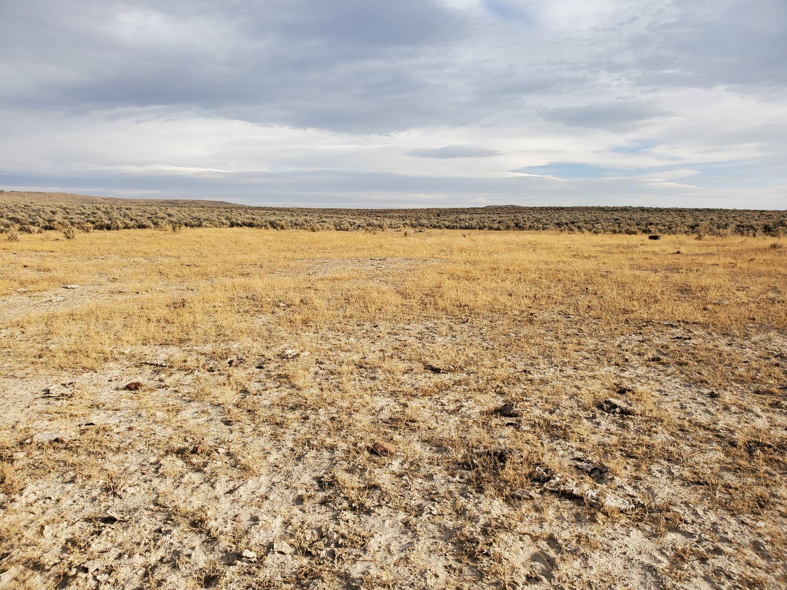 McDermitt Caldera, Nevada, October 2022