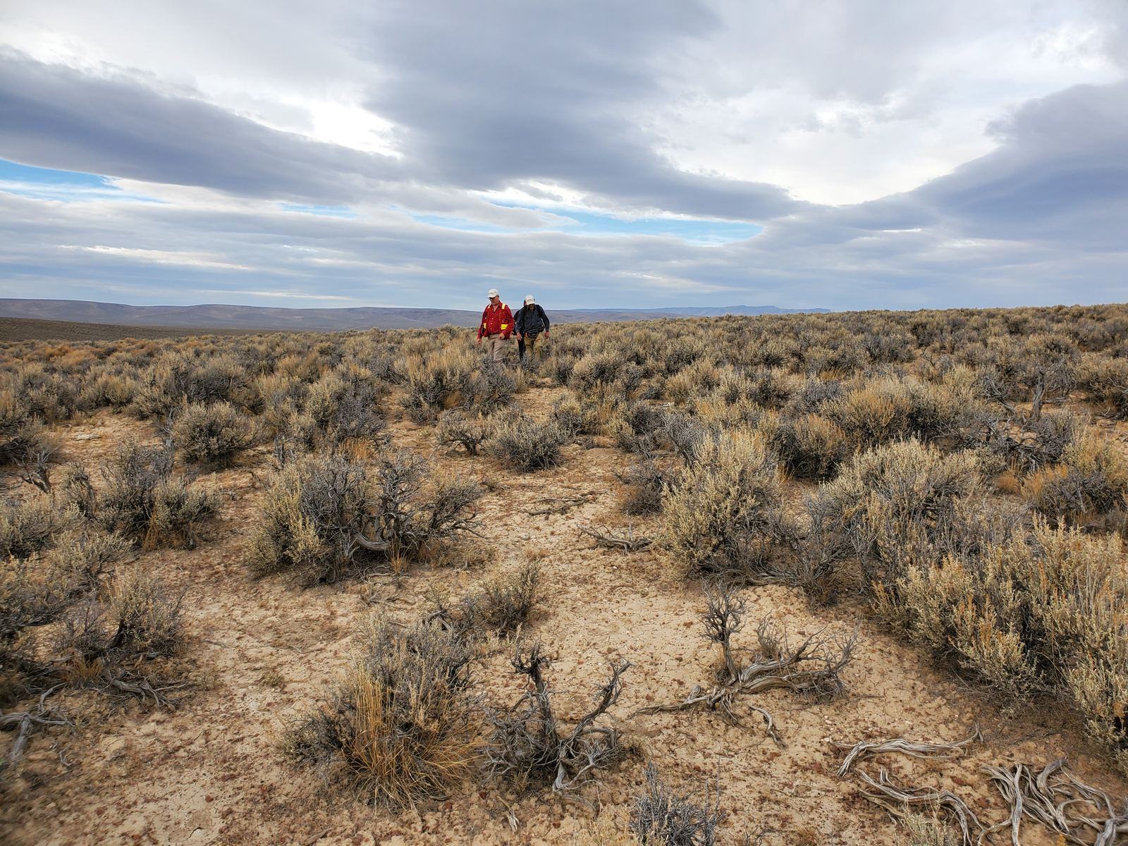 Surface sampling, October 2022