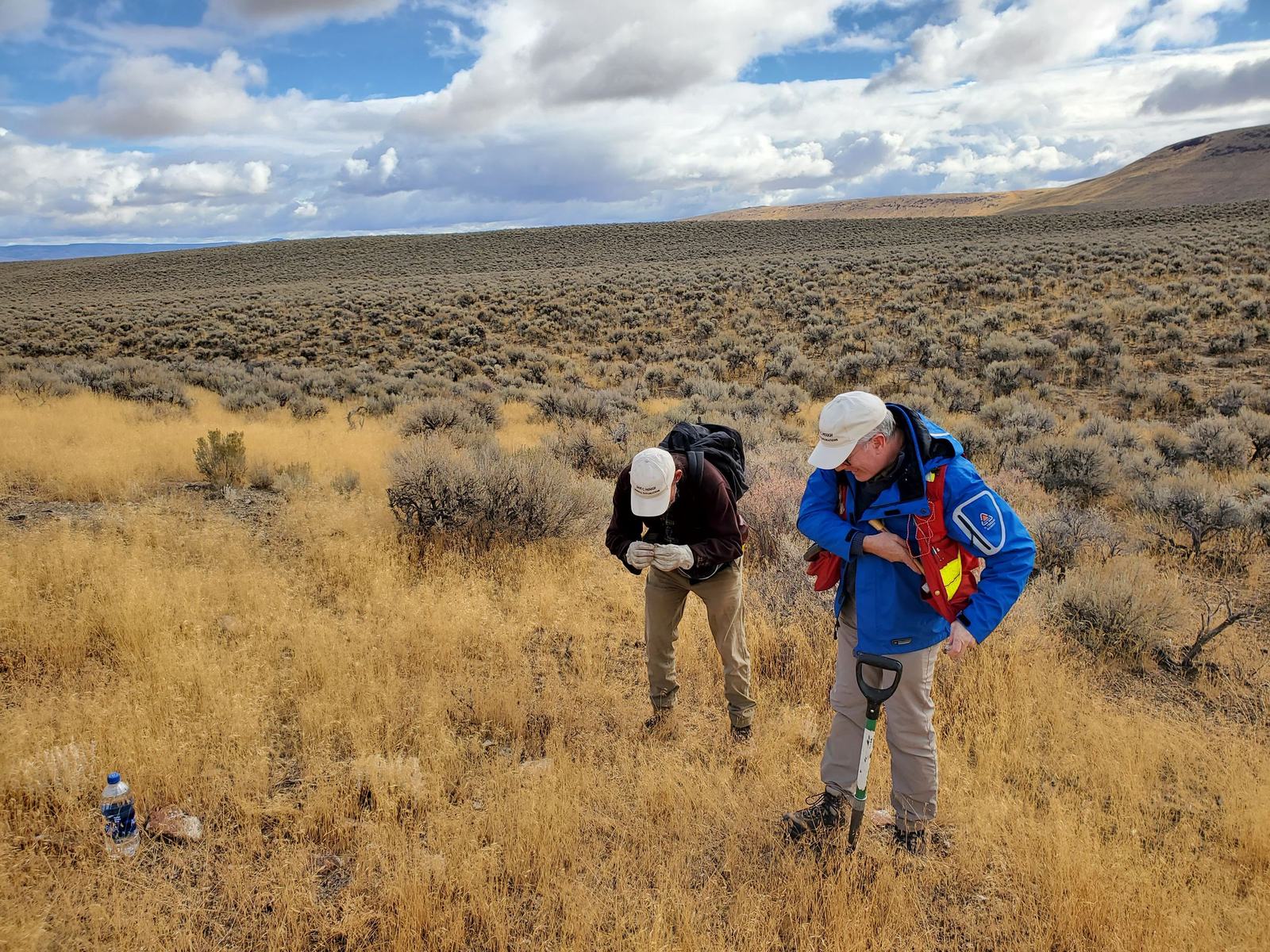 Field sampling, October 2022